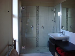 Glass Shower